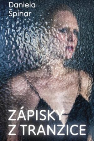 Zápisky z tranzice