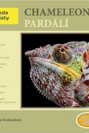 Chameleon pardálí - Abeceda teraristy