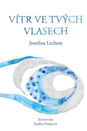 Vítr ve tvých vlasech