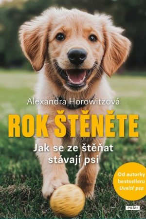 Rok štěněte - Jak se ze štěňat stávají psi