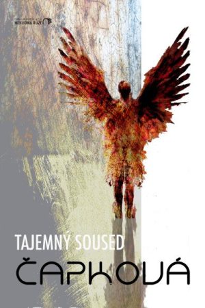 Tajemný soused