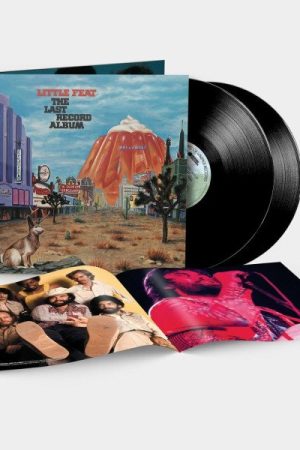 The Last Record Album - 2 LP