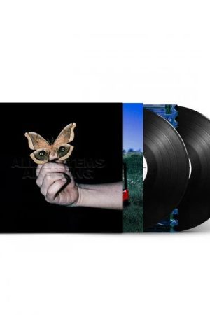 All Systems Are Lying - 2 LP