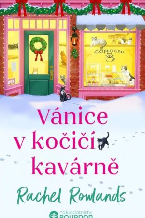 Vánice v kočičí kavárně