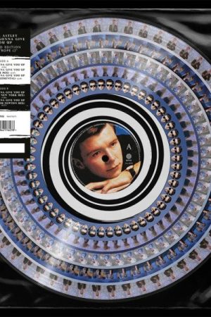 Never Gonna Give You Up - LP