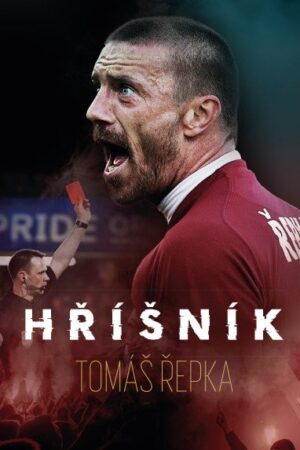 Tomáš Řepka - Hříšník