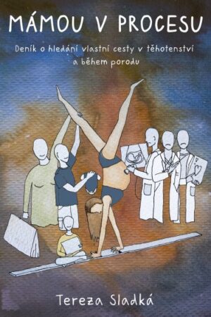 Mámou v procesu - Deník o hledání vlastní cesty v těhotenství a během porodu