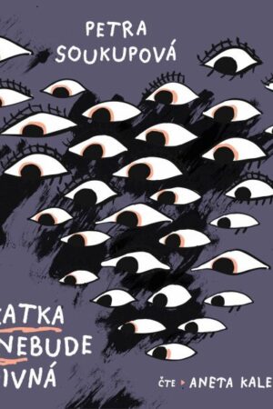 Katka už nebude divná - CDmp3 (Čte Aneta Kalertová)