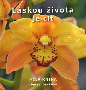 Láskou života je cit