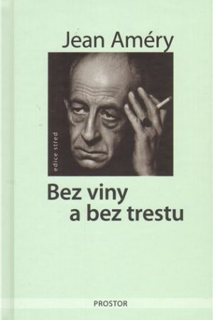 Bez viny a bez trestu