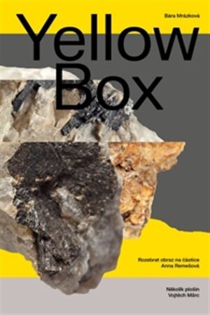 Yellow Box