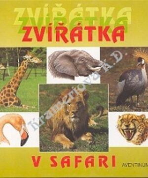 Zvířátka v safari