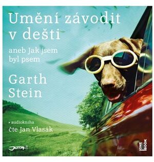 Umění závodit v dešti