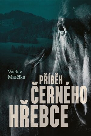 Příběh černého hřebce
