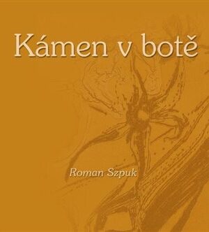 Kámen v botě