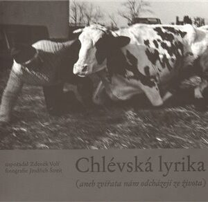 Chlévská lyrika