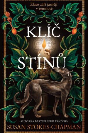 Klíč stínů