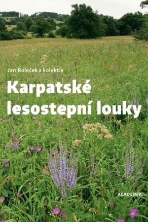 Karpatské lesostepní louky