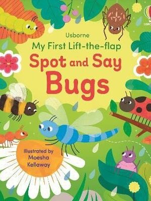 My First Lift-the-flap Spot and Say Bugs