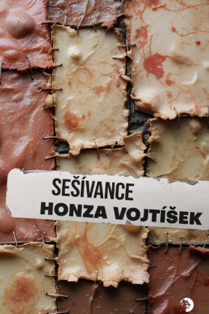 Sešívance