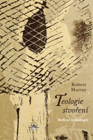 Teologie stvoření
