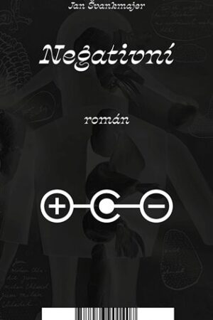 Negativní román