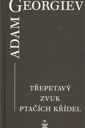 Třepetavý zvuk ptačích křídel