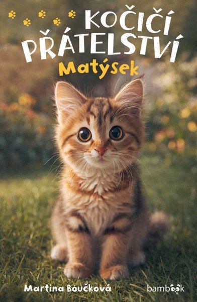 Kočičí přátelství - Matýsek