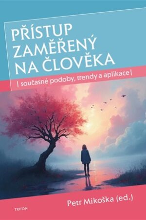 Přístup zaměřený na člověka