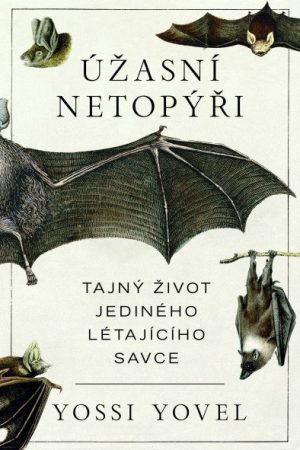 Úžasní netopýři