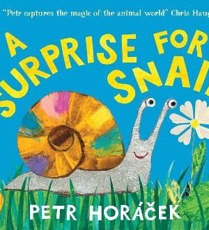 Surprise for Snail