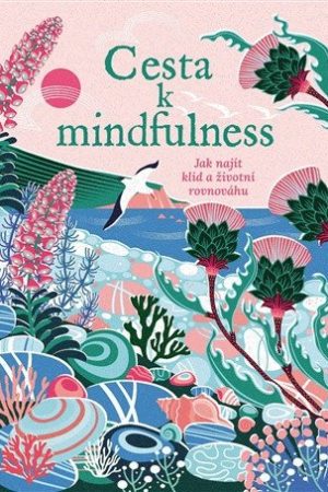 Cesta k mindfulness - Jak najít klid a životní rovnováhu