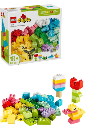 LEGO® DUPLO® 10479 Barevný kreativní box s kostkami