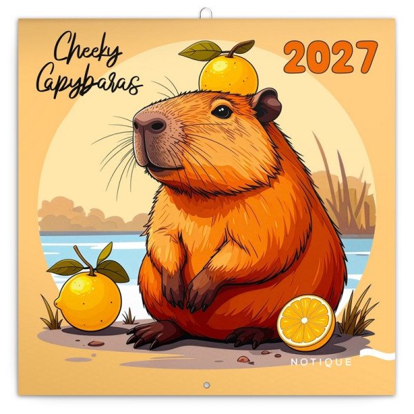 Kalendář 2027 poznámkový: Rozverné kapybary, 30 x 30 cm