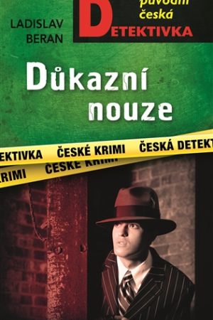 Důkazní nouze
