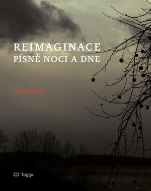 Reimaginace