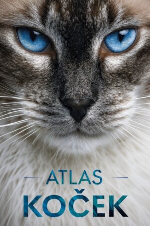 Atlas koček