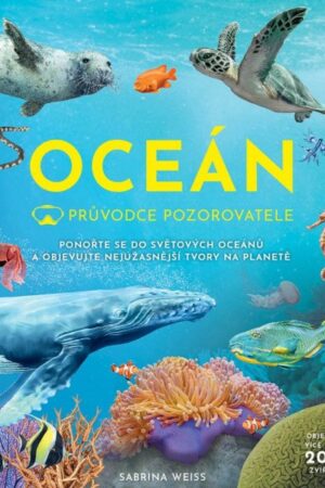 Průvodce pozorovatele: Oceán