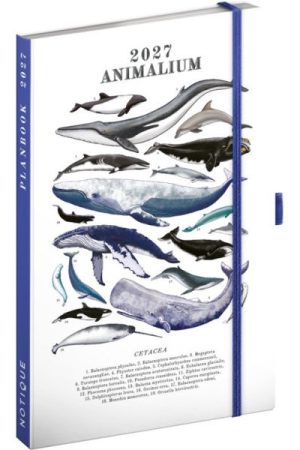 Diář/notes 2027: Planbook - Pod mořem , 13 x 21 cm
