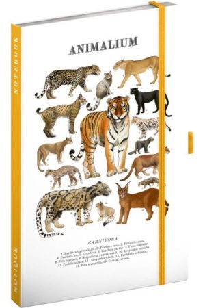 Notes Animalium - Kočkovité šelmy, linkovaný, 13 x 21 cm
