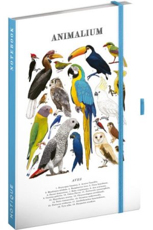 Notes Animalium - Ptáci, linkovaný, 13 x 21 cm