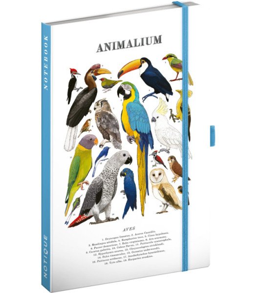 Notes Animalium - Ptáci, linkovaný, 13 x 21 cm
