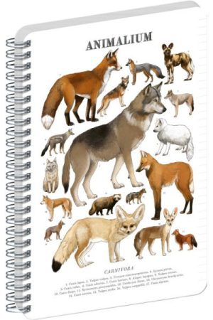 Spirálový blok Animalium - Psovité šelmy, linkovaný, A5