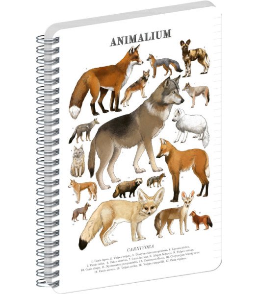 Spirálový blok Animalium - Psovité šelmy, linkovaný, A5