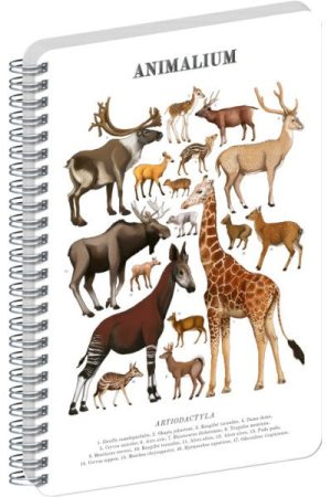 Spirálový blok Animalium - Sudokopytníci, čistý, A5
