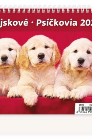 Kalendář stolní 2027 - MiniMax Pejskové