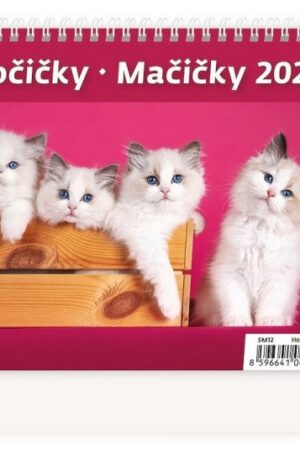 Kalendář stolní 2027 - MiniMax Kočičky