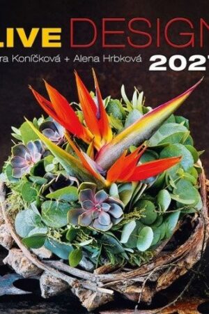 Kalendář nástěnný 2027 - Live Design