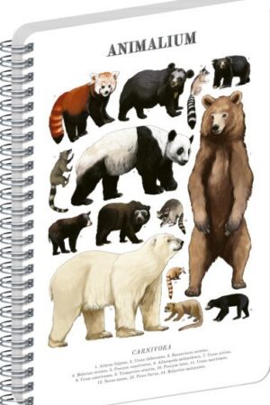 Spirálový blok Animalium - Medvědovité šelmy, čistý, A4