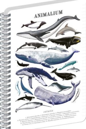 Spirálový blok Animalium - Pod mořem, linkovaný, A5